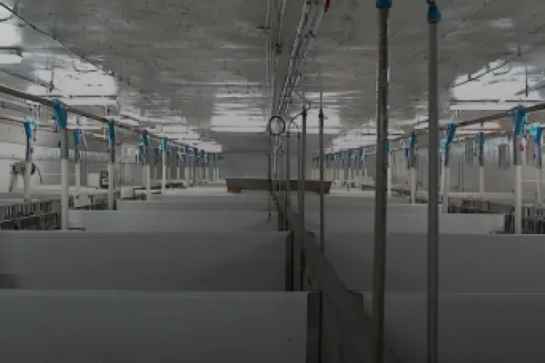 Lorem ipsum dolor sit amet