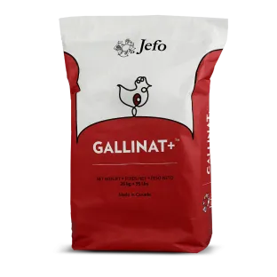 Gallinat + ™