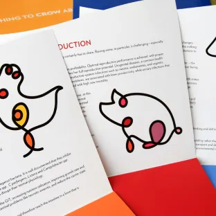 Conditionnement de litière ™